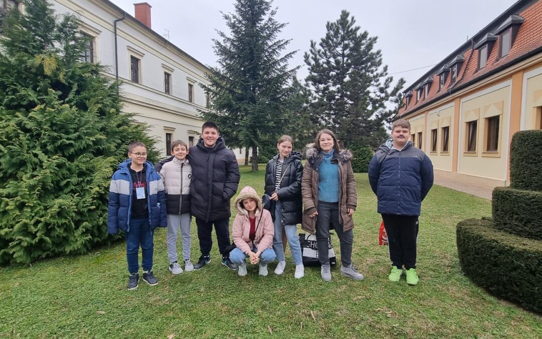 Učenici naše škole sudjelovali na LiDraNu