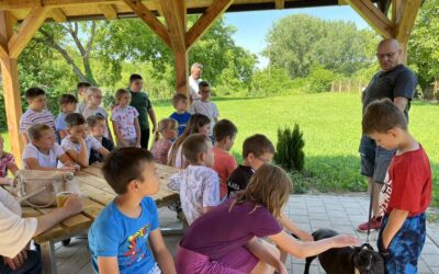 Doniraj – volontiraj – educiraj: Učenici velikog srca