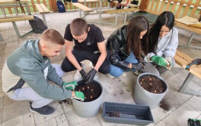 Projekt Šafran: Zajedno protiv zaborava