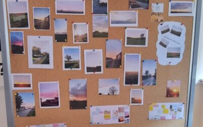 Završetak mjesečnog projekta: “Promjena prirode zabilježena u lirskim pjesmama”