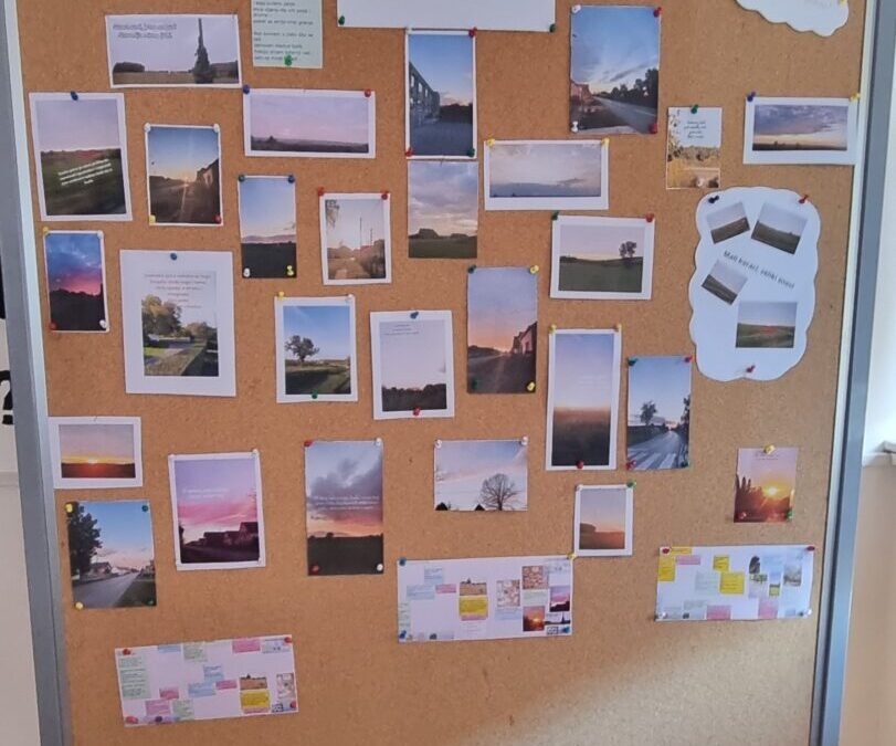 Završetak mjesečnog projekta: “Promjena prirode zabilježena u lirskim pjesmama”