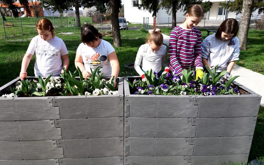 Cvjećari, vrtlari i voćari PŠ Mandićevac