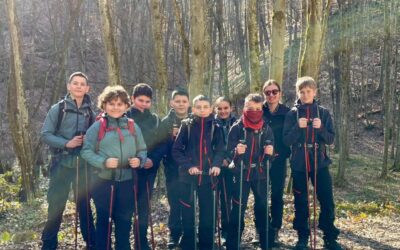 Planinarski izlet na Borovik